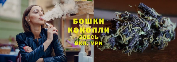 стаф Данков